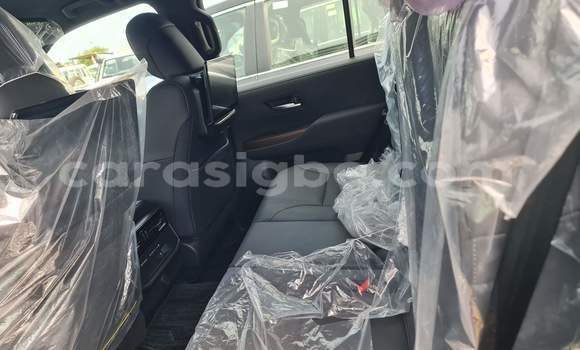 Buy New Toyota Land Cruiser Black Car in Lome in Togo Buy New Toyota Land Cruiser Black Car in Lome in Togo