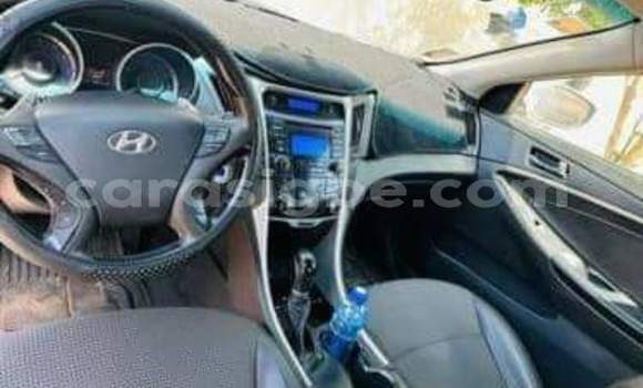 Buy Used Hyundai Sonata Other Car in Lome in Togo Buy Used Hyundai Sonata Other Car in Lome in Togo