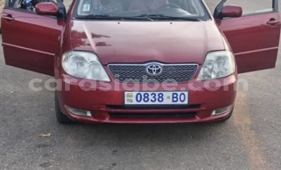 Acheter Occasion Voiture Toyota Corolla Rouge à Lomé, Togo