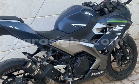 Buy Used Kawasaki Ninja Silver Bike in Adawlato in Togo