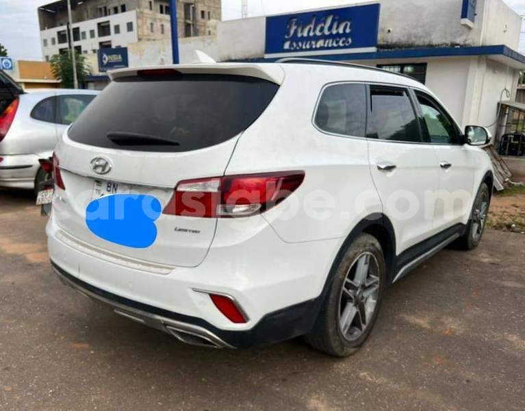 Big with watermark hyundai santa fe plateaux amlame 9219