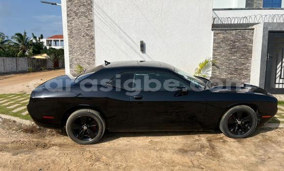 Buy Used Dodge Challenger Black Car in Lome in Togo Buy Used Dodge Challenger Black Car in Lome in Togo