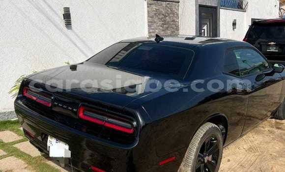 Buy Used Dodge Challenger Black Car in Lome in Togo Buy Used Dodge Challenger Black Car in Lome in Togo