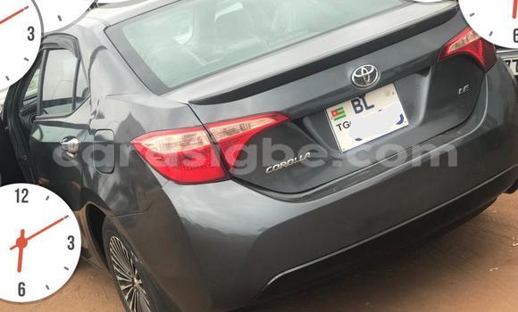 Acheter Occasion Voiture Toyota Corolla Cross Autre à Lomé, Togo Acheter Occasion Voiture Toyota Corolla Cross Autre à Lomé, Togo