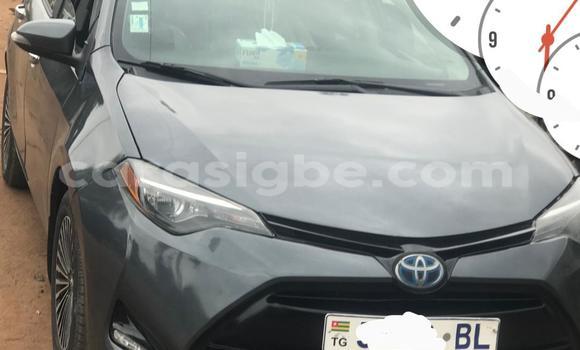 Acheter Occasion Voiture Toyota Corolla Cross Autre à Lomé, Togo Acheter Occasion Voiture Toyota Corolla Cross Autre à Lomé, Togo