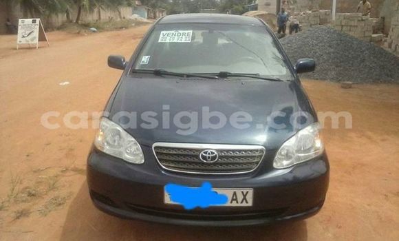 Buy Used Toyota Corolla Black Car in Lome in Togo Buy Used Toyota Corolla Black Car in Lome in Togo