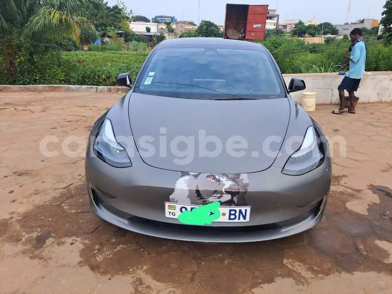 Big with watermark tesla model s togo dekon 9239