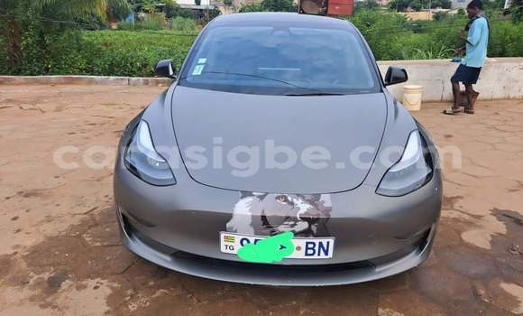 Acheter Occasion Voiture Tesla Model S Gris à Dékon, Togo Acheter Occasion Voiture Tesla Model S Gris à Dékon, Togo
