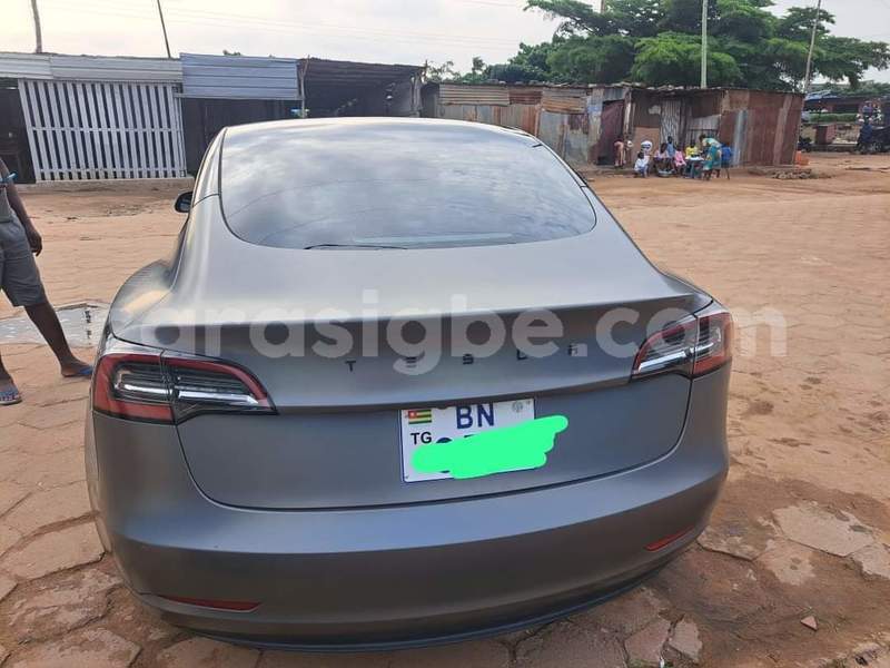 Big with watermark tesla model s togo dekon 9239