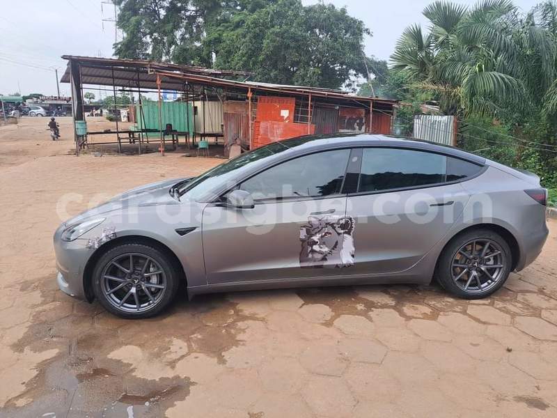 Big with watermark tesla model s togo dekon 9239