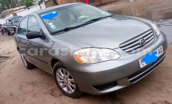 Acheter Occasion Voiture Toyota Corolla Gris à Lomé au Togo Acheter Occasion Voiture Toyota Corolla Gris à Lomé au Togo