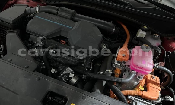 Acheter Occasion Voiture Hyundai Tucson Rouge à Lomé, Togo Acheter Occasion Voiture Hyundai Tucson Rouge à Lomé, Togo