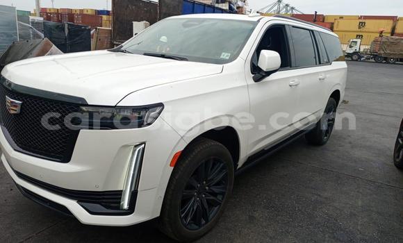 Acheter Occasion Voiture Cadillac Escalade Blanc à Amoutivé, Togo