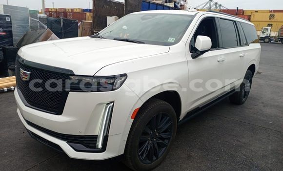 Acheter Occasion Voiture Cadillac Escalade Blanc à Amoutivé, Togo Acheter Occasion Voiture Cadillac Escalade Blanc à Amoutivé, Togo