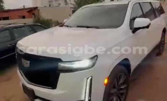 Acheter Occasion Voiture Cadillac Escalade Blanc à Amoutivé, Togo Acheter Occasion Voiture Cadillac Escalade Blanc à Amoutivé, Togo