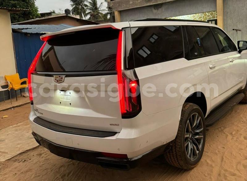 Big with watermark cadillac escalade togo amoutive 9280