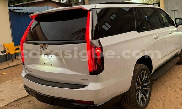 Acheter Occasion Voiture Cadillac Escalade Blanc à Amoutivé, Togo Acheter Occasion Voiture Cadillac Escalade Blanc à Amoutivé, Togo