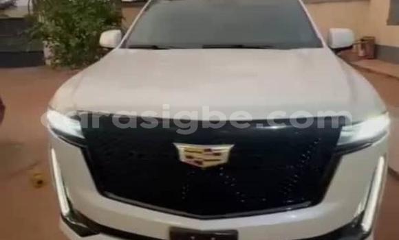 Acheter Occasion Voiture Cadillac Escalade Blanc à Amoutivé, Togo Acheter Occasion Voiture Cadillac Escalade Blanc à Amoutivé, Togo