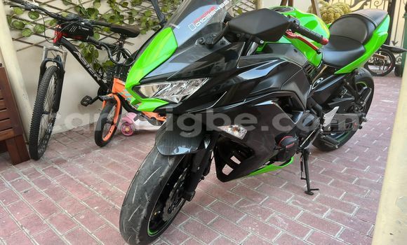 Buy Used Kawasaki Ninja Green Bike in Lome in Togo Buy Used Kawasaki Ninja Green Bike in Lome in Togo
