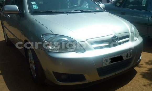 Acheter Occasion Voiture Toyota Corolla Gris à Lomé au Togo Acheter Occasion Voiture Toyota Corolla Gris à Lomé au Togo