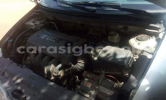 Buy Used Toyota Corolla Silver Car in Lome in Togo Buy Used Toyota Corolla Silver Car in Lome in Togo