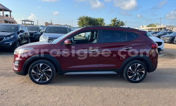 Buy Used Hyundai Tucson Other Car in Lome in Togo Buy Used Hyundai Tucson Other Car in Lome in Togo