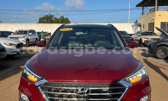 Buy Used Hyundai Tucson Other Car in Lome in Togo Buy Used Hyundai Tucson Other Car in Lome in Togo