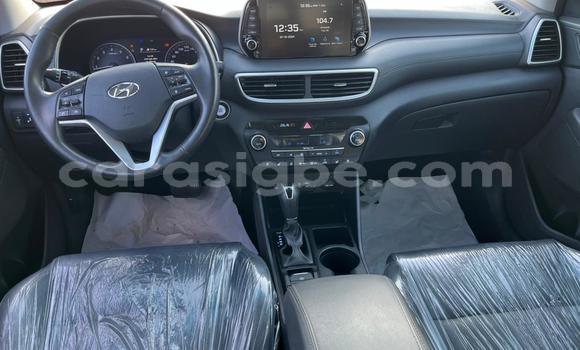 Buy Used Hyundai Tucson Other Car in Lome in Togo Buy Used Hyundai Tucson Other Car in Lome in Togo