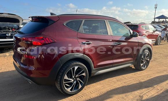 Buy Used Hyundai Tucson Other Car in Lome in Togo Buy Used Hyundai Tucson Other Car in Lome in Togo