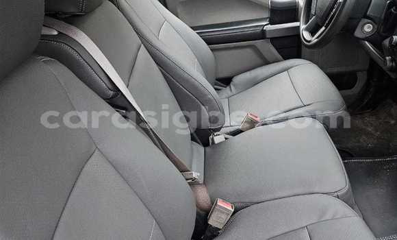 Buy Used Ford F–150 Other Car in Lome in Togo Buy Used Ford F–150 Other Car in Lome in Togo