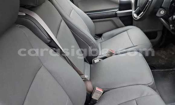 Buy Used Ford F–150 Other Car in Lome in Togo Buy Used Ford F–150 Other Car in Lome in Togo