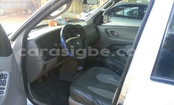 Buy Used Mazda Tribute Silver Car in Lome in Togo Buy Used Mazda Tribute Silver Car in Lome in Togo