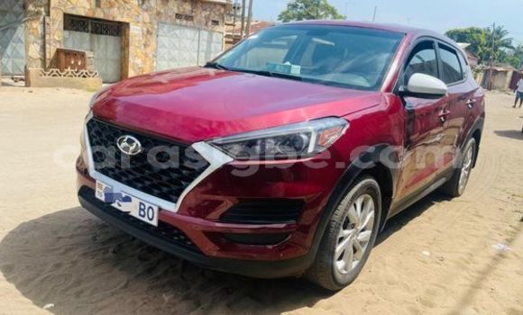 Acheter Occasion Voiture Hyundai Tucson Autre à Lomé, Togo Acheter Occasion Voiture Hyundai Tucson Autre à Lomé, Togo