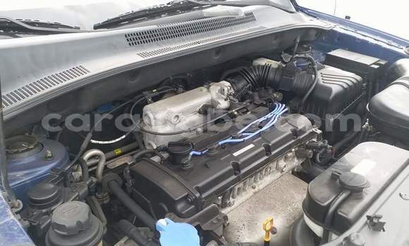 Buy Used Kia Sportage Blue Car in Lome in Togo Buy Used Kia Sportage Blue Car in Lome in Togo