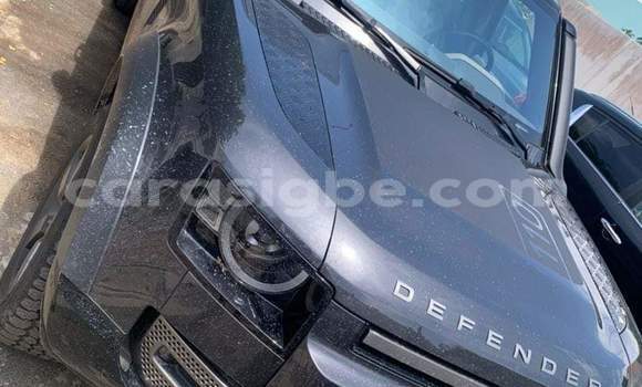 Acheter Occasion Voiture Land Rover Defender Gris à Lomé, Togo