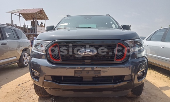 Acheter Import Voiture Ford Ranger Gris à Lomé, Togo