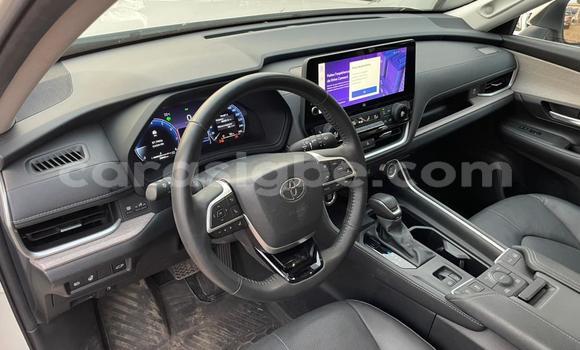 Buy New Toyota Highlander White Car in Lome in Togo Buy New Toyota Highlander White Car in Lome in Togo