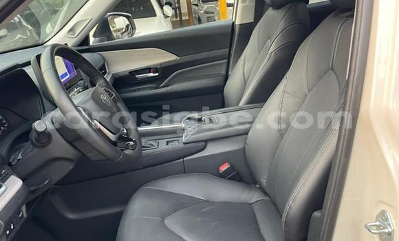 Buy New Toyota Highlander White Car in Lome in Togo Buy New Toyota Highlander White Car in Lome in Togo