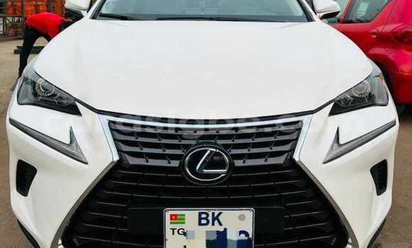 Buy Used Lexus NX White Car in Lome in Maritime