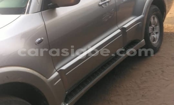 Acheter Occasion Voiture Mitsubishi Montero Gris à Lomé, Togo