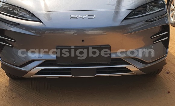 Acheter Occasion Voiture BYD E6 Gris à Lomé, Togo