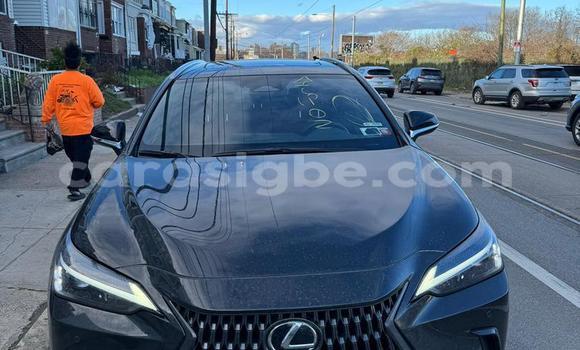Buy New Lexus NX Black Car in Lome in Togo