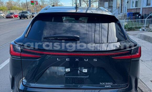 Buy New Lexus NX Black Car in Lome in Togo Buy New Lexus NX Black Car in Lome in Togo