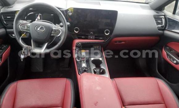 Buy New Lexus NX Black Car in Lome in Togo Buy New Lexus NX Black Car in Lome in Togo