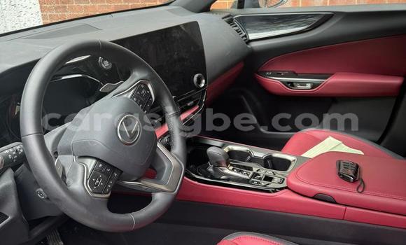 Buy New Lexus NX Black Car in Lome in Togo Buy New Lexus NX Black Car in Lome in Togo
