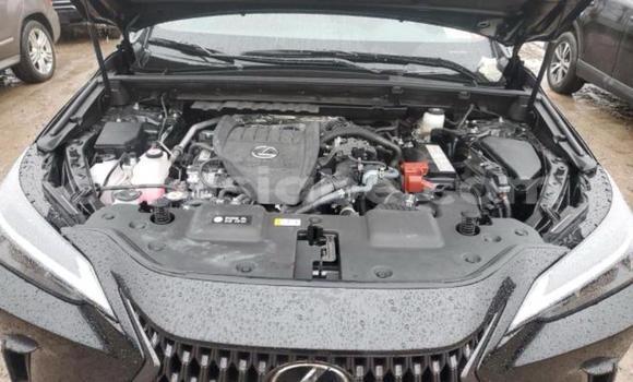 Buy New Lexus NX Black Car in Lome in Togo Buy New Lexus NX Black Car in Lome in Togo