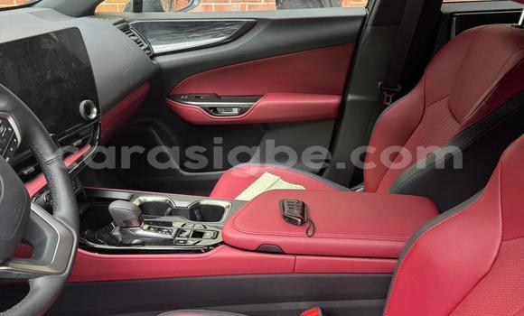 Buy New Lexus NX Black Car in Lome in Togo Buy New Lexus NX Black Car in Lome in Togo