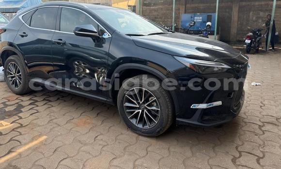 Buy New Lexus NX Black Car in Lome in Togo Buy New Lexus NX Black Car in Lome in Togo