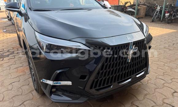 Buy New Lexus NX Black Car in Lome in Togo Buy New Lexus NX Black Car in Lome in Togo
