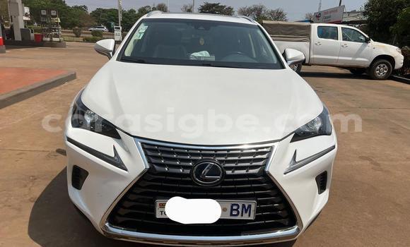 Acheter Occasion Voiture Lexus NX Blanc à Lomé, Togo Acheter Occasion Voiture Lexus NX Blanc à Lomé, Togo